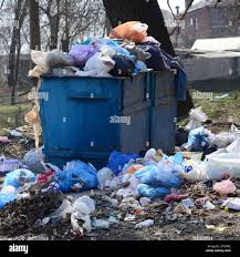 Best Estate Cleanout  in Warroad, MN